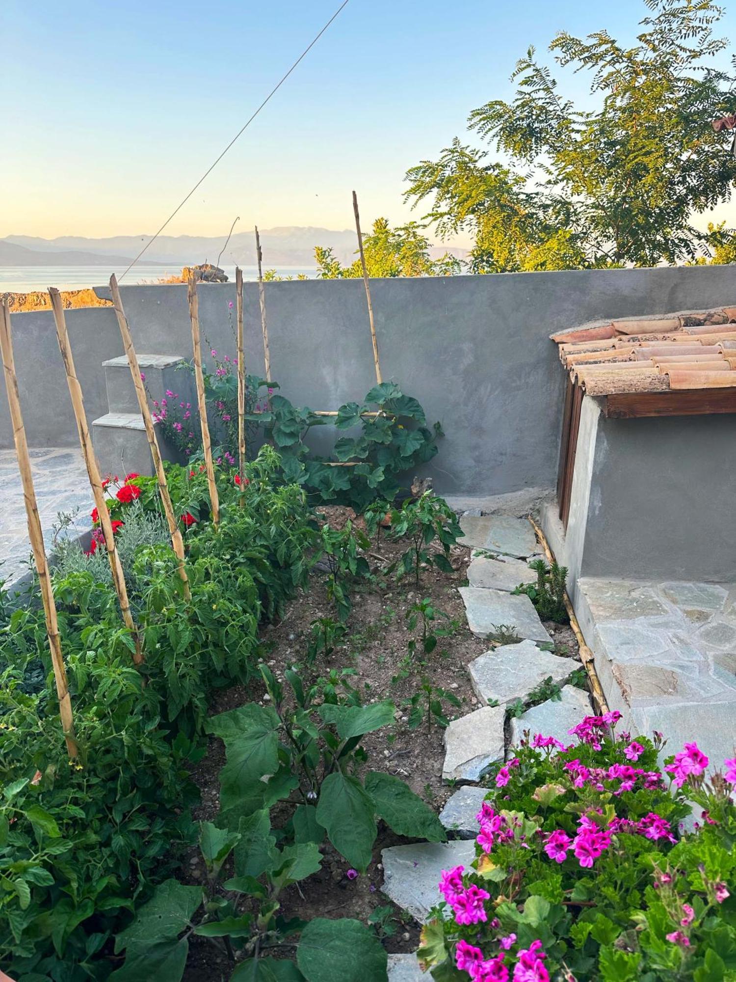 דירות Fteri Stone House In Platanos, Akrata מראה חיצוני תמונה